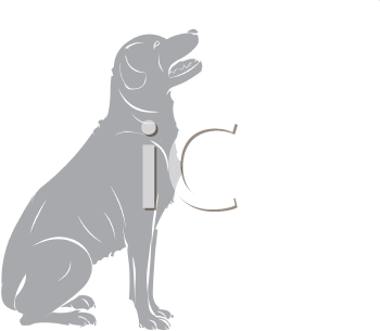 Pet Clipart