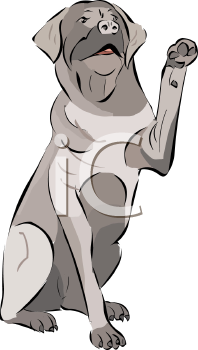 Pet Clipart