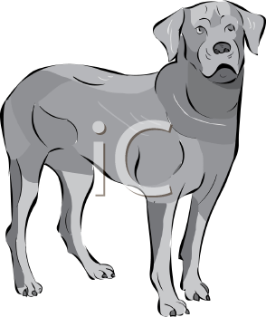 Dog Clipart