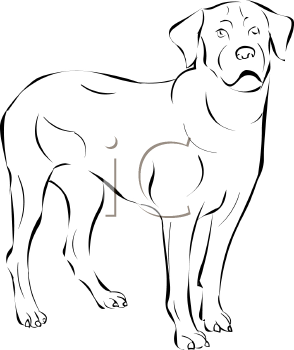 Pet Clipart