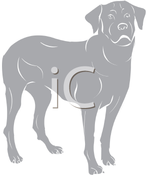 Pet Clipart