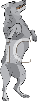 Dog Clipart