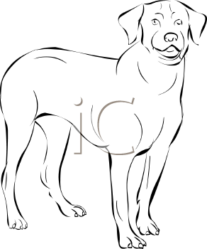Dog Clipart