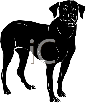Pet Clipart