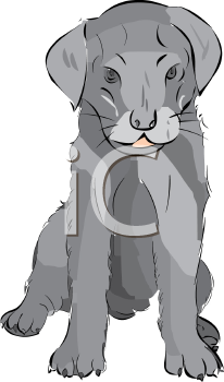 Dog Clipart