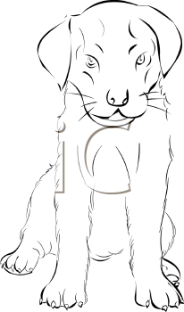 Dog Clipart