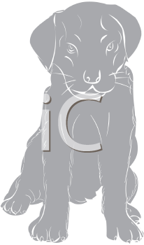 Pet Clipart