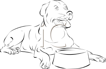 Pet Clipart