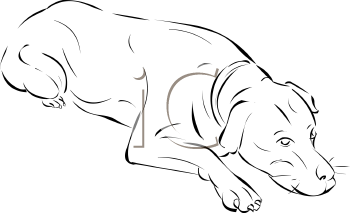 Dog Clipart
