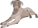 Pet Clipart