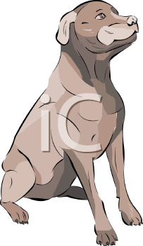 Pet Clipart