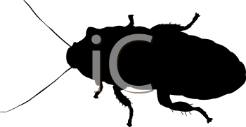 Insect Clipart