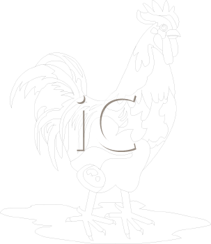 Bird Clipart