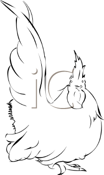 Bird Clipart