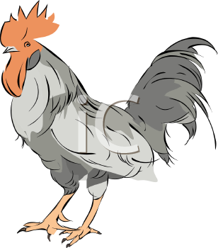 Bird Clipart