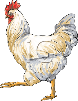 Farm Animal Clipart