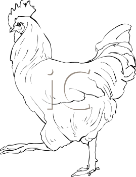 Farm Animal Clipart