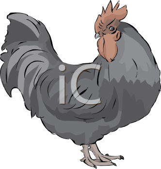 Farm Animal Clipart