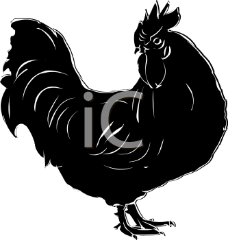 Bird Clipart