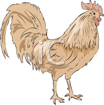 Farm Animal Clipart