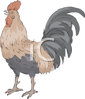 Farm Animal Clipart