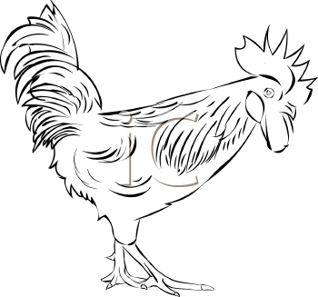 Farm Animal Clipart