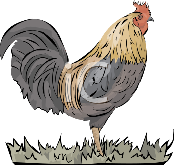 Farm Animal Clipart