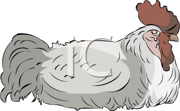 Farm Animal Clipart