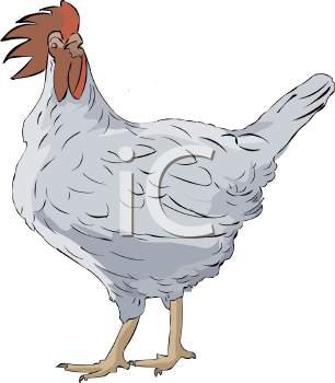 Farm Animal Clipart