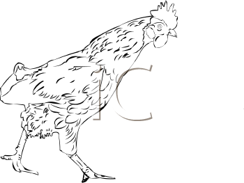 Farm Animal Clipart