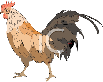 Farm Animal Clipart