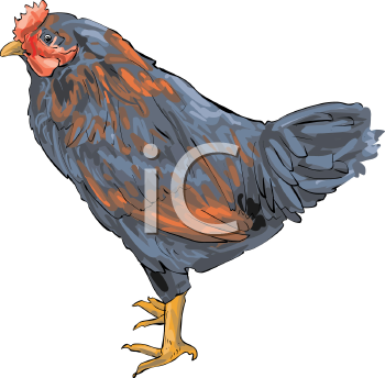 Farm Animal Clipart