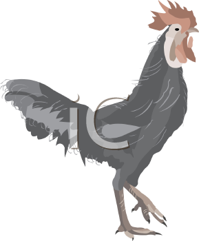 Farm Animal Clipart
