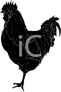 Farm Animal Clipart