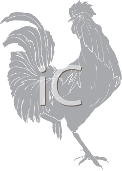 Bird Clipart