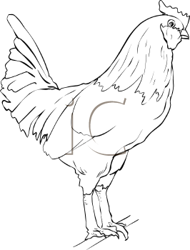 Farm Animal Clipart