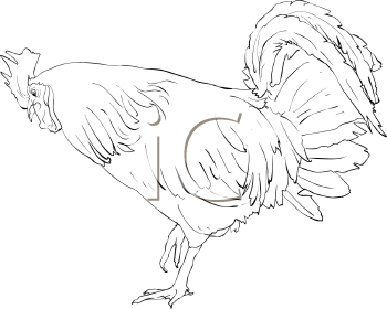 Farm Animal Clipart
