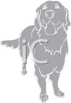 Pet Clipart
