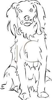 Pet Clipart