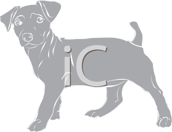 Pet Clipart