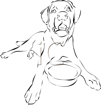 Pet Clipart