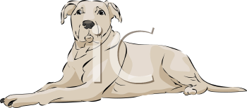 Dog Clipart