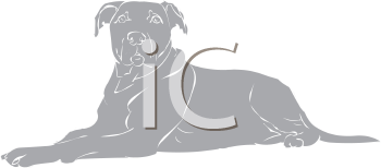 Pet Clipart