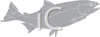 Fish and Sea Life Clipart