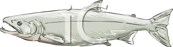 Fish and Sea Life Clipart