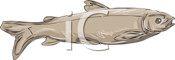 Fish and Sea Life Clipart