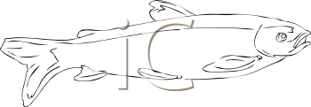 Fish and Sea Life Clipart