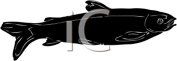 Fish and Sea Life Clipart