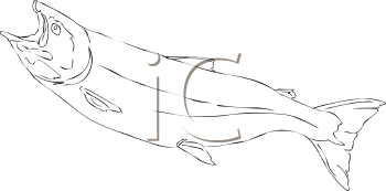 Fish and Sea Life Clipart