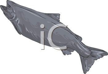 Fish and Sea Life Clipart